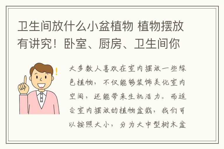 衛(wèi)生間放什么小盆植物 植物擺放有講究！臥室、廚房、衛(wèi)生間你都放了哪些植物？