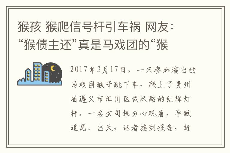 猴孩 猴爬信號(hào)桿引車(chē)禍 網(wǎng)友：“猴債主還”真是馬戲團(tuán)的“猴孩子”