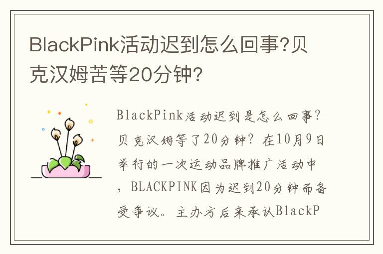 BlackPink活動遲到怎么回事?貝克漢姆苦等20分鐘?