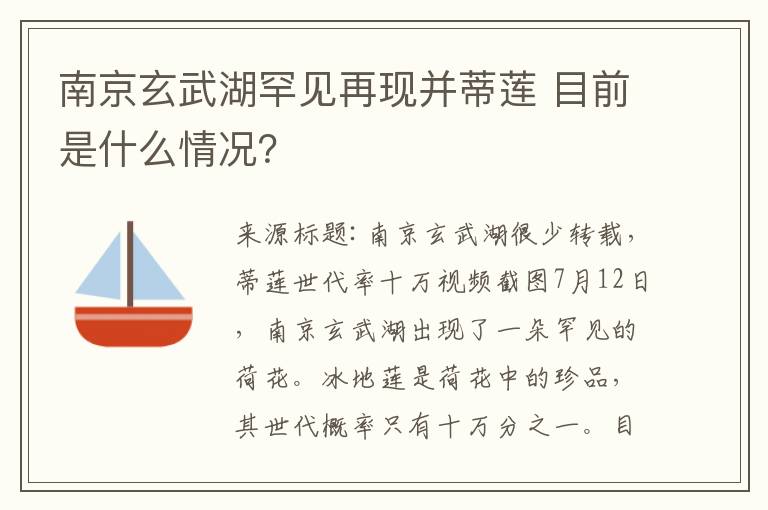 南京玄武湖罕見(jiàn)再現(xiàn)并蒂蓮 目前是什么情況？