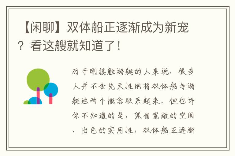 【閑聊】雙體船正逐漸成為新寵？看這艘就知道了！