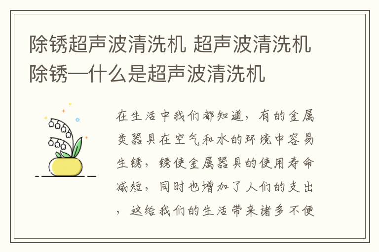 除銹超聲波清洗機 超聲波清洗機除銹—什么是超聲波清洗機