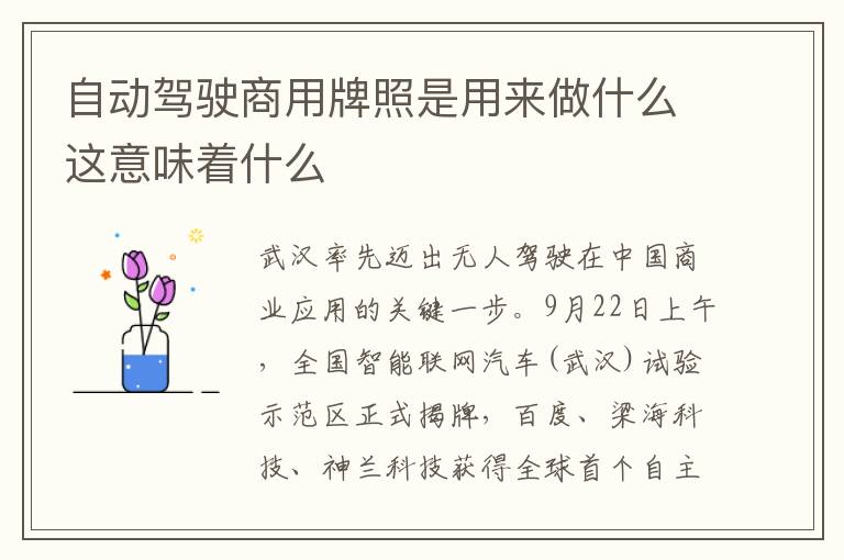 自動(dòng)駕駛商用牌照是用來做什么這意味著什么