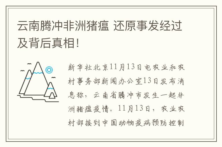 云南騰沖非洲豬瘟 還原事發(fā)經(jīng)過及背后真相！