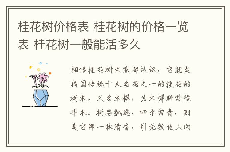 桂花樹價(jià)格表 桂花樹的價(jià)格一覽表 桂花樹一般能活多久