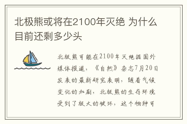 北極熊或?qū)⒃?100年滅絕 為什么目前還剩多少頭