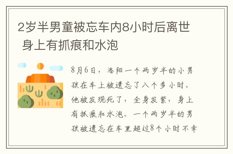 2歲半男童被忘車內(nèi)8小時(shí)后離世 身上有抓痕和水泡