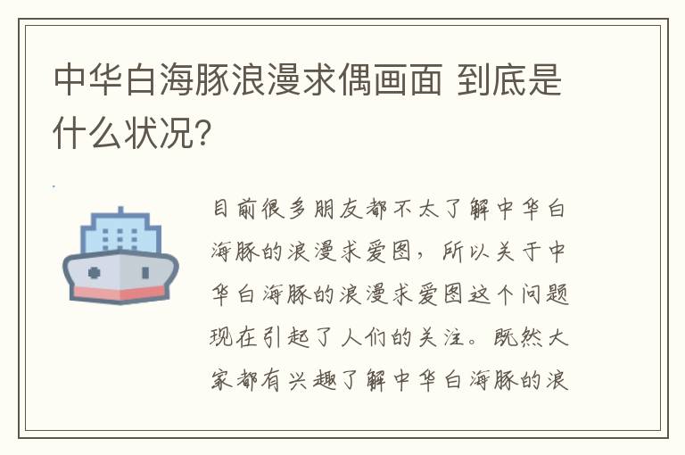 中華白海豚浪漫求偶畫面 到底是什么狀況？