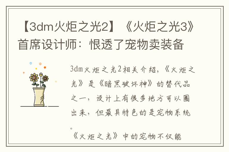 【3dm火炬之光2】《火炬之光3》首席設(shè)計(jì)師：恨透了寵物賣裝備的功能