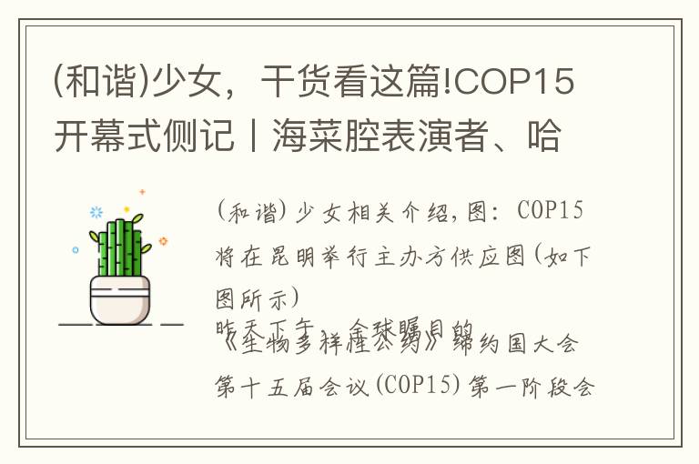 (和諧)少女，干貨看這篇!COP15開(kāi)幕式側(cè)記丨海菜腔表演者、哈尼族少女和阿勒泰河貍公主…他們向世界講述人與自然和諧相處的中國(guó)經(jīng)驗(yàn)