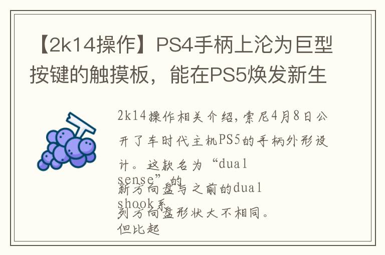 【2k14操作】PS4手柄上淪為巨型按鍵的觸摸板，能在PS5煥發(fā)新生嗎？