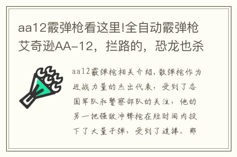 aa12霰彈槍看這里!全自動霰彈槍艾奇遜AA-12，攔路的，恐龍也殺給你看