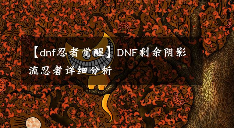 【dnf忍者覺醒】DNF剩余陰影流忍者詳細(xì)分析