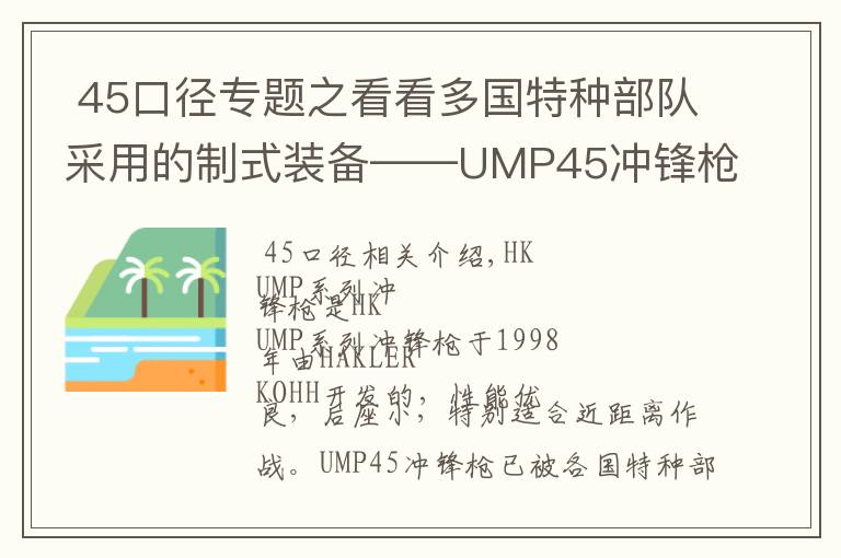  45口徑專題之看看多國特種部隊采用的制式裝備——UMP45沖鋒槍