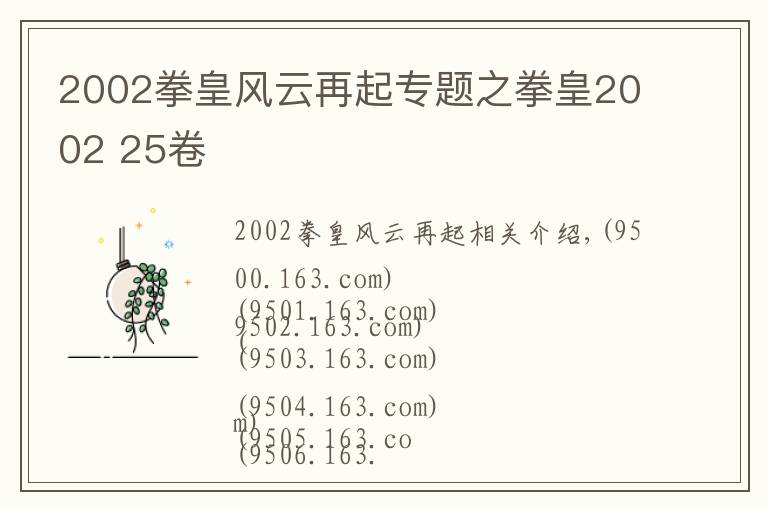 2002拳皇風云再起專題之拳皇2002 25卷