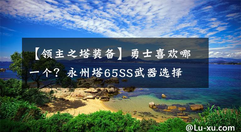 【領(lǐng)主之塔裝備】勇士喜歡哪一個？永州塔65SS武器選擇