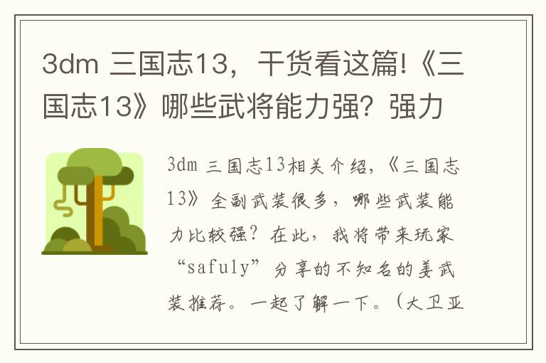 3dm 三國志13，干貨看這篇!《三國志13》哪些武將能力強(qiáng)？強(qiáng)力武將推薦