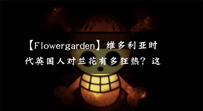 【Flowergarden】維多利亞時代英國人對蘭花有多狂熱？這位畫家的手繪圖留存了那份迷戀