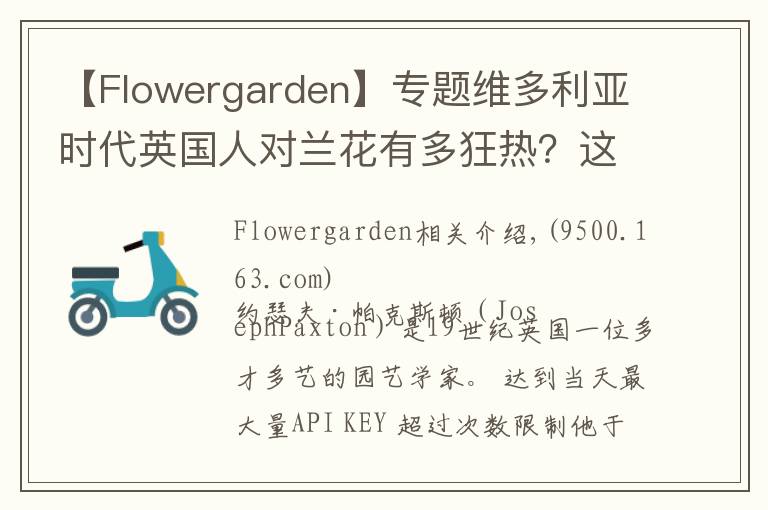 【Flowergarden】專題維多利亞時代英國人對蘭花有多狂熱？這位畫家的手繪圖留存了那份迷戀