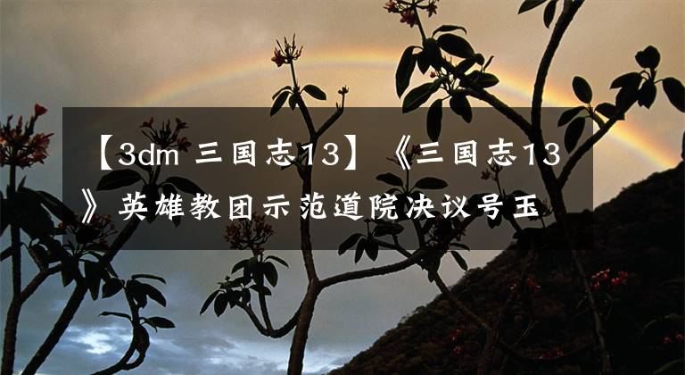 【3dm 三國志13】《三國志13》英雄教團示范道院決議號玉館大展