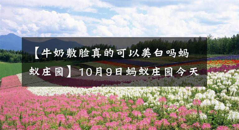 【牛奶敷臉真的可以美白嗎螞蟻莊園】10月9日螞蟻莊園今天正確答案牛奶敷臉真的可以美白嗎？