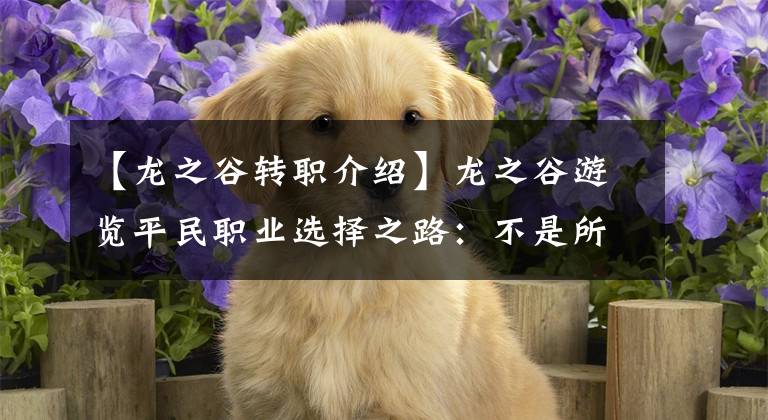 【龍之谷轉(zhuǎn)職介紹】龍之谷游覽平民職業(yè)選擇之路：不是所有職業(yè)都是平民職業(yè)！