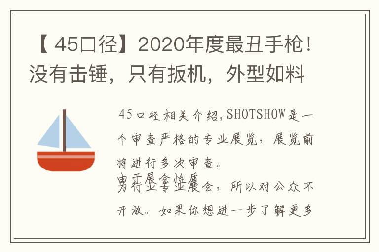 【 45口徑】2020年度最丑手槍！沒有擊錘，只有扳機(jī)，外型如料理噴槍