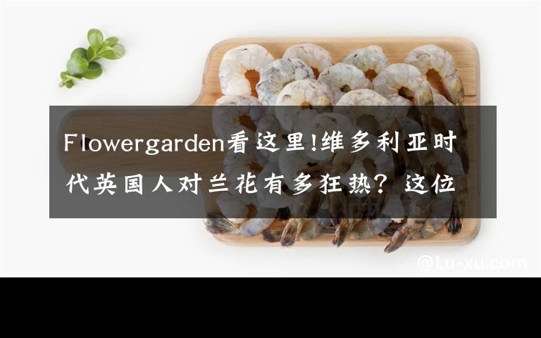 Flowergarden看這里!維多利亞時代英國人對蘭花有多狂熱？這位畫家的手繪圖留存了那份迷戀