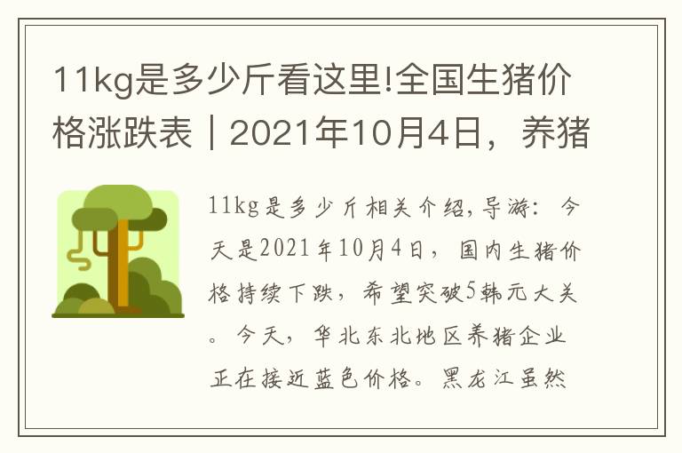 11kg是多少斤看這里!全國生豬價格漲跌表｜2021年10月4日，養(yǎng)豬戶已經(jīng)“無力回天”