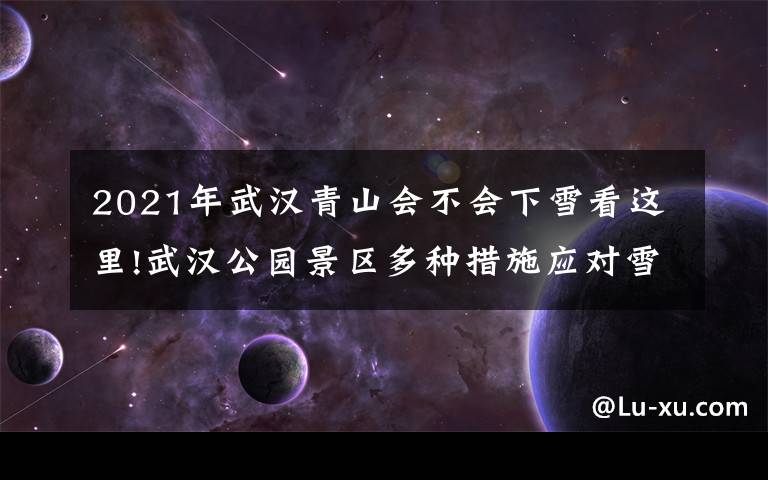 2021年武漢青山會(huì)不會(huì)下雪看這里!武漢公園景區(qū)多種措施應(yīng)對(duì)雪天：吹風(fēng)機(jī)吹樹葉、給化石開暖氣