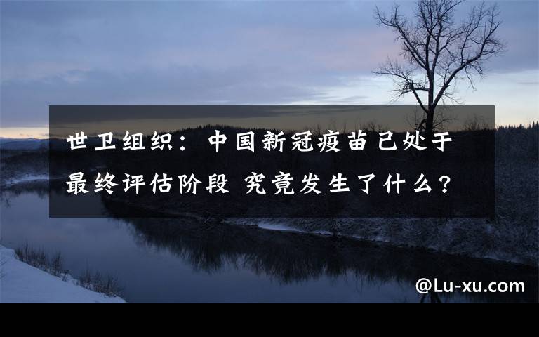 世衛(wèi)組織：中國(guó)新冠疫苗已處于最終評(píng)估階段 究竟發(fā)生了什么?