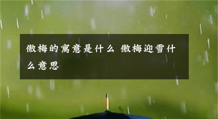 傲梅的寓意是什么 傲梅迎雪什么意思