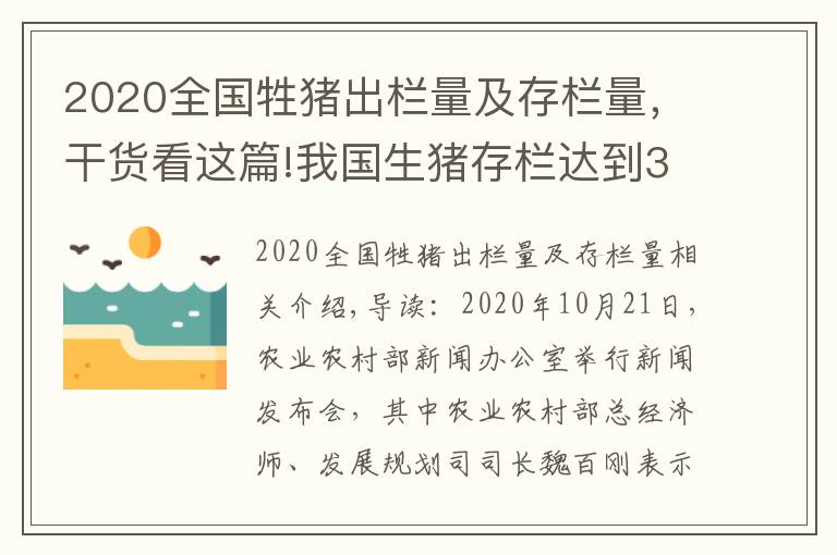 2020全國牲豬出欄量及存欄量，干貨看這篇!我國生豬存欄達到3.7億頭，豬價全線跌破15元，養(yǎng)豬戶要慌了