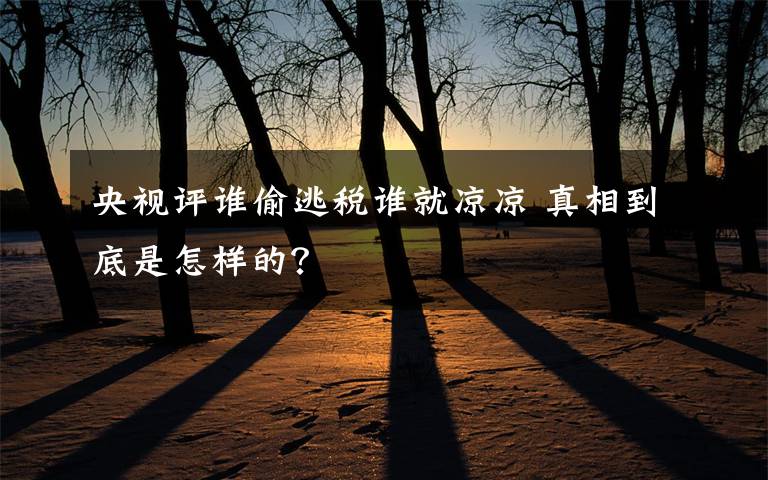 央視評(píng)誰(shuí)偷逃稅誰(shuí)就涼涼 真相到底是怎樣的？