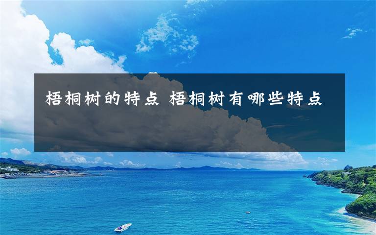 梧桐樹的特點(diǎn) 梧桐樹有哪些特點(diǎn)