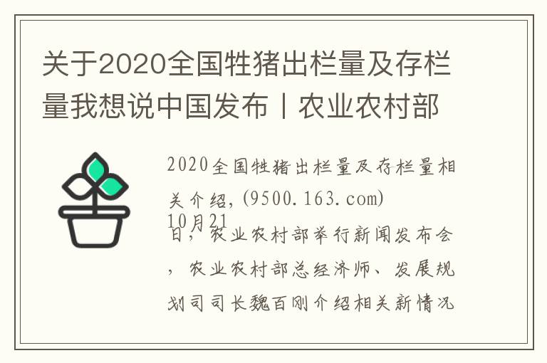 關(guān)于2020全國牲豬出欄量及存欄量我想說中國發(fā)布丨農(nóng)業(yè)農(nóng)村部：截至9月底全國生豬存欄達3.7億頭