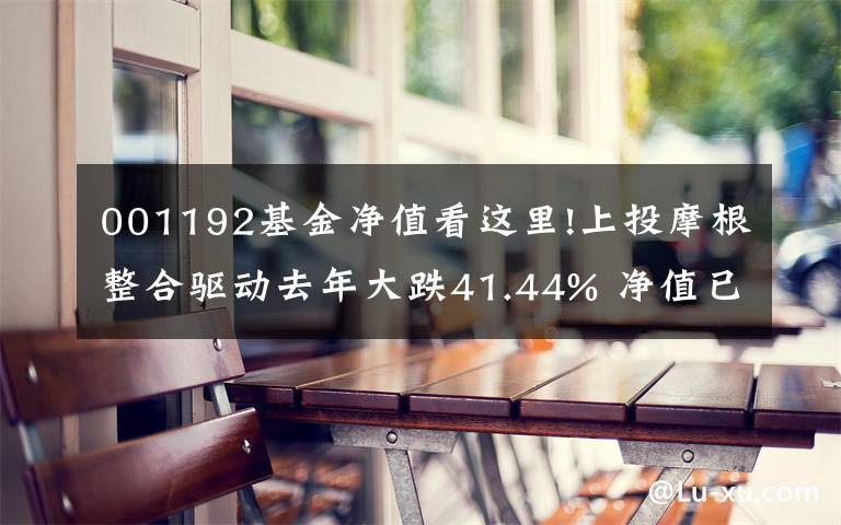 001192基金凈值看這里!上投摩根整合驅(qū)動(dòng)去年大跌41.44% 凈值已腰斬不足0.5元