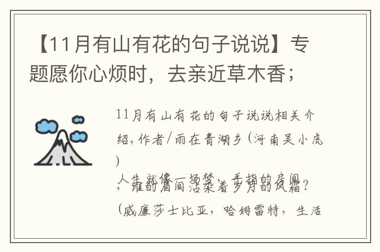 【11月有山有花的句子說說】專題愿你心煩時，去親近草木香；愿你落寞時，與山水共清歡