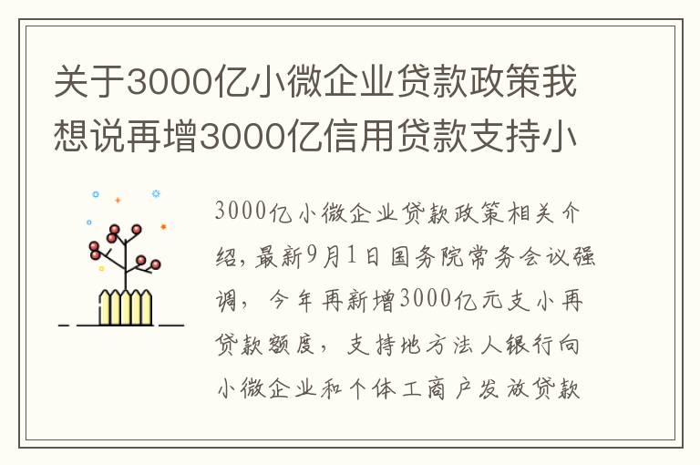 關于3000億小微企業(yè)貸款政策我想說再增3000億信用貸款支持小微企業(yè)，政策來了您準備好了嗎