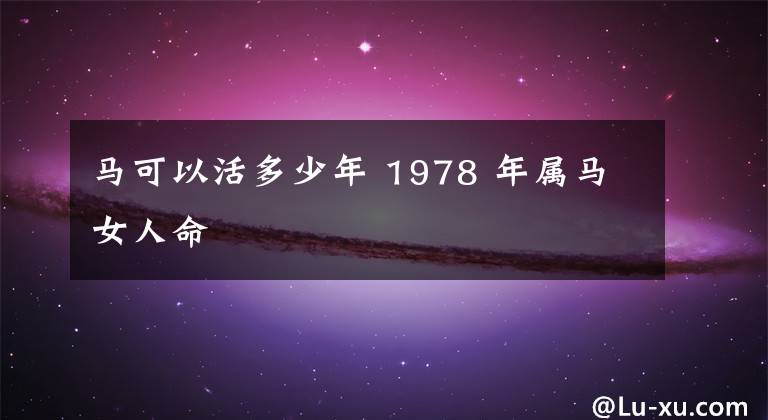 馬可以活多少年 1978 年屬馬女人命