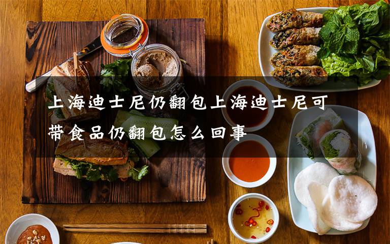 上海迪士尼仍翻包上海迪士尼可帶食品仍翻包怎么回事