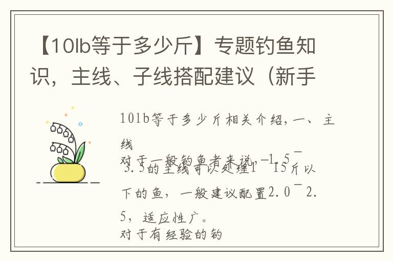 【10lb等于多少斤】專題釣魚知識(shí)，主線、子線搭配建議（新手福利）