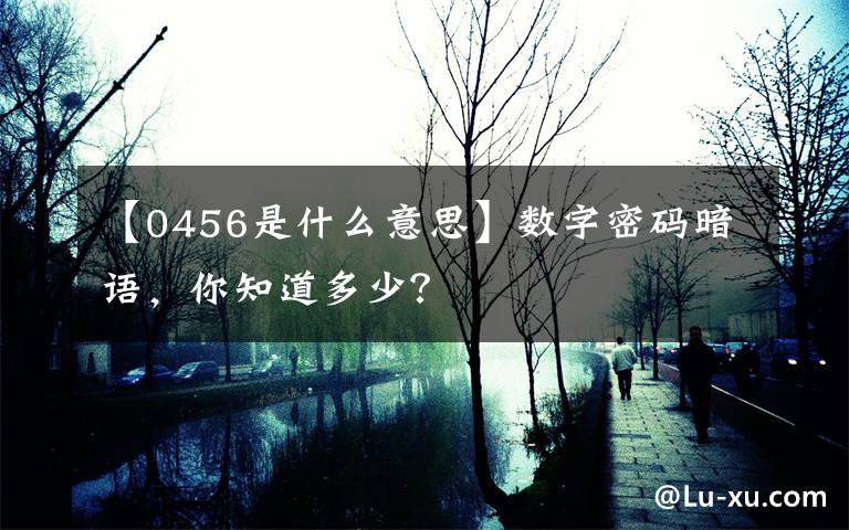 【0456是什么意思】數(shù)字密碼暗語，你知道多少？