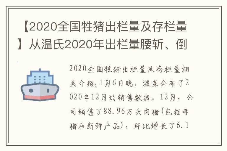 【2020全國(guó)牲豬出欄量及存欄量】從溫氏2020年出欄量腰斬、倒退7年看當(dāng)前豬價(jià)，豬堅(jiān)強(qiáng)依然在