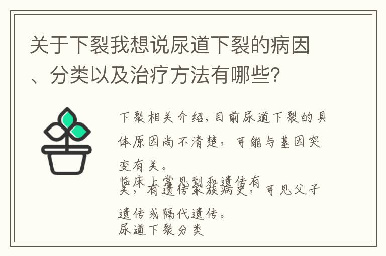 關(guān)于下裂我想說尿道下裂的病因、分類以及治療方法有哪些？