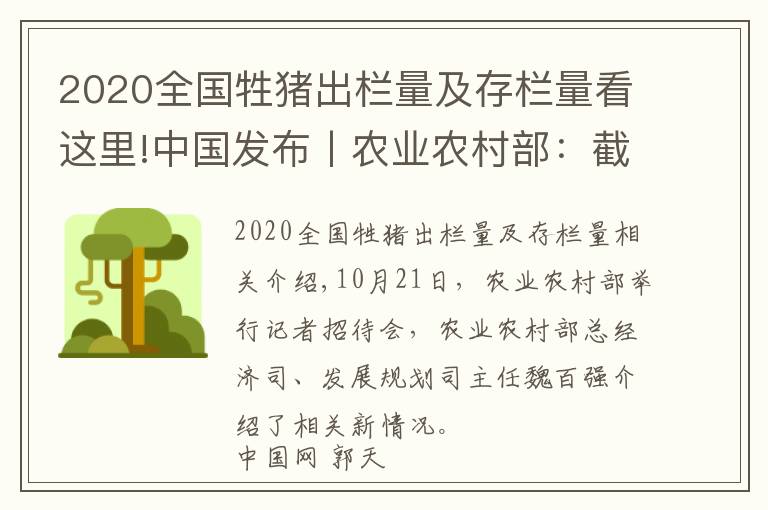 2020全國牲豬出欄量及存欄量看這里!中國發(fā)布丨農(nóng)業(yè)農(nóng)村部：截至9月底全國生豬存欄達(dá)3.7億頭