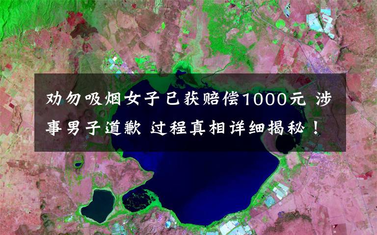 勸勿吸煙女子已獲賠償1000元 涉事男子道歉 過程真相詳細揭秘！