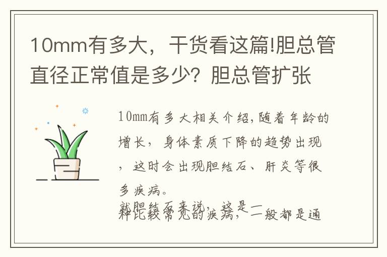 10mm有多大，干貨看這篇!膽總管直徑正常值是多少？膽總管擴張很常見，希望你不會中招