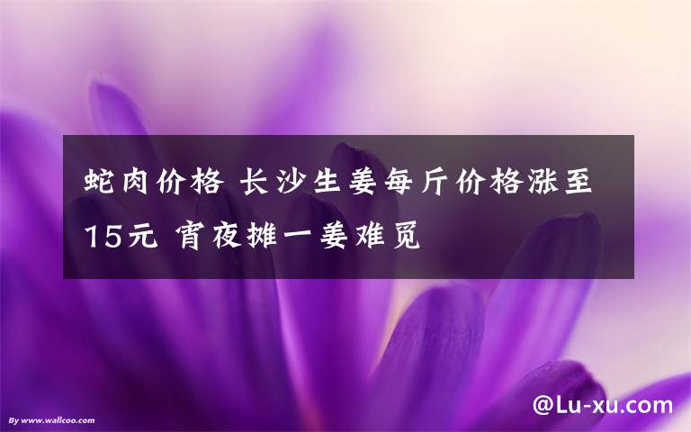 蛇肉價格 長沙生姜每斤價格漲至15元 宵夜攤一姜難覓