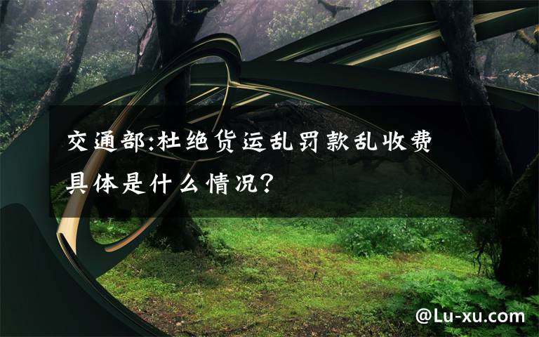 交通部:杜絕貨運亂罰款亂收費 具體是什么情況？